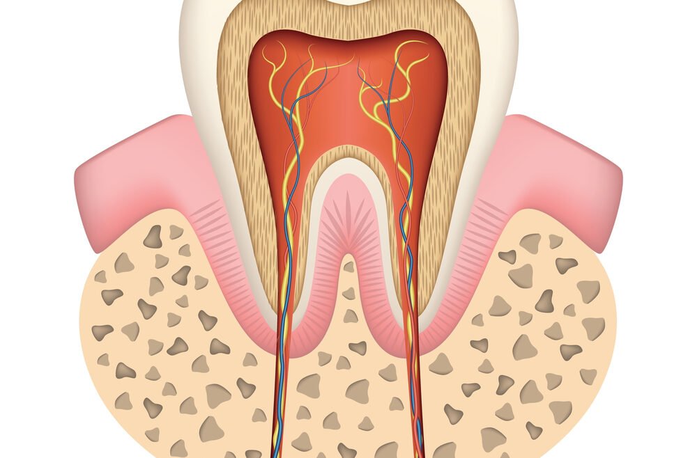 How Much Is A Root Canal In Ontario