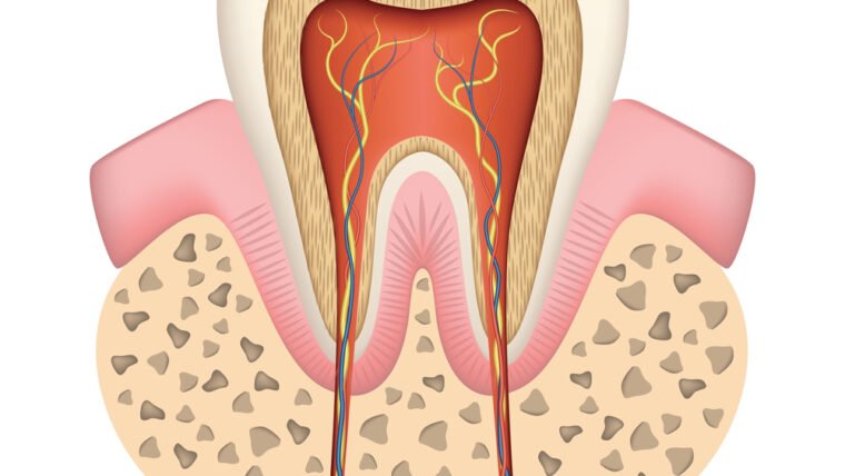 How Much Is A Root Canal In Ontario